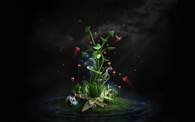 Green plant flower water sky free wallpaper for desktop - medium preview image