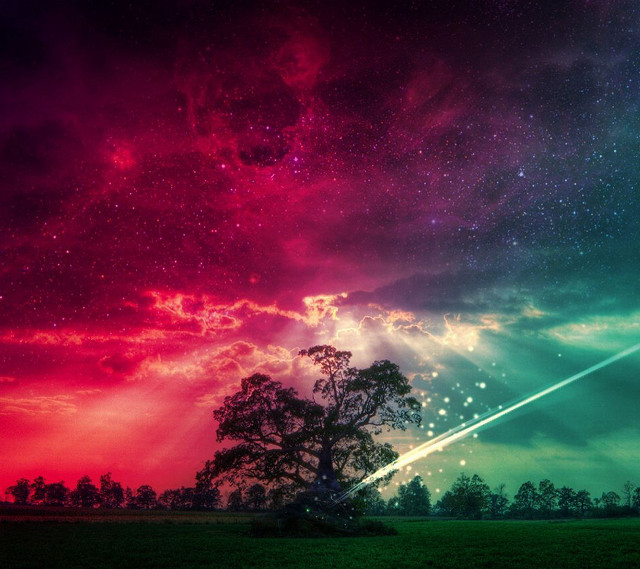 Colorful sky tree shooting star #2 free wallpaper for tablet - medium preview image