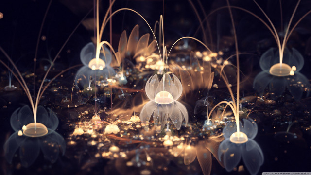 Jellyfish group floating pond water free wallpaper for desktop - medium preview image