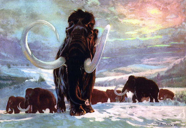 Woolly mammoths snowy landscape rainbow free wallpaper for desktop - medium preview image