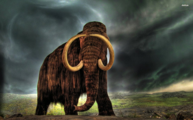 Mammoth field cloudy sky storm #2 free wallpaper for desktop - medium preview image