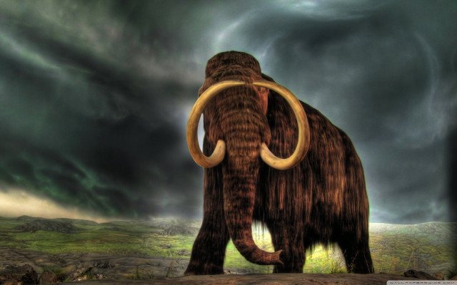 Mammoth field cloudy sky storm #3 free wallpaper for desktop - medium preview image