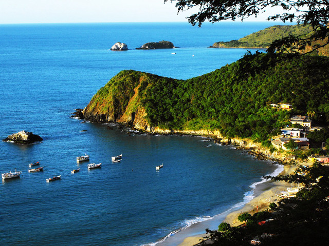 Beach boats hill trees houses free wallpaper for desktop - medium preview image
