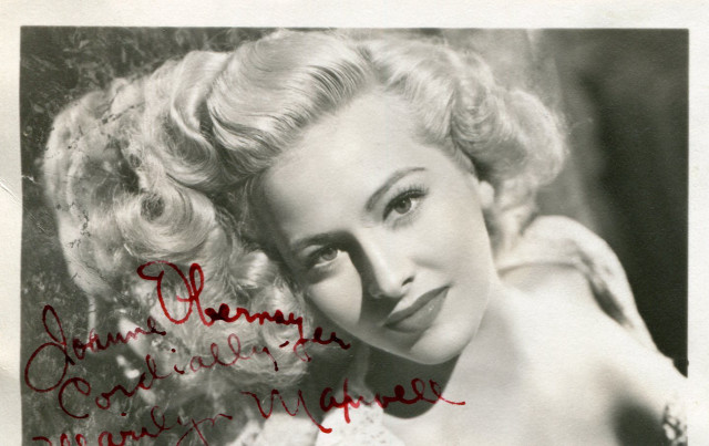 Woman large breast posing picture #2 free wallpaper for desktop - medium preview image