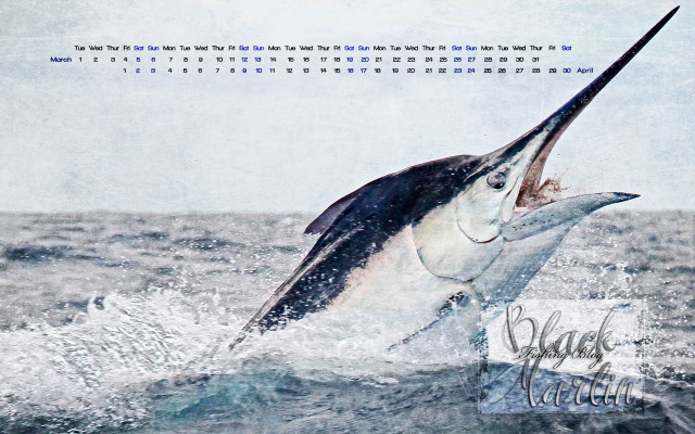 Large white marlin jumping fishing free wallpaper for desktop - medium preview image