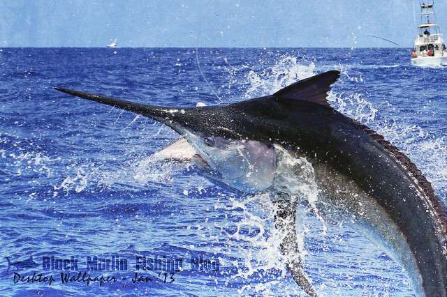 Large fish jumping water boat free wallpaper for desktop - medium preview image