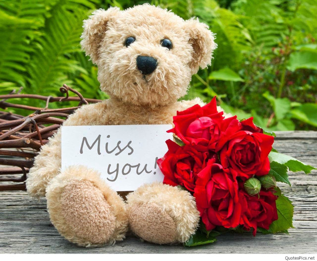 Teddy bear miss you bouquet #2 free wallpaper for desktop - medium preview image