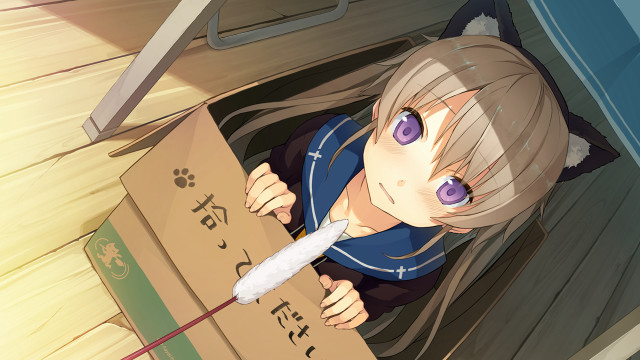 Girl purple eyes box knife free wallpaper for desktop - medium preview image