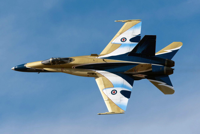 Gold blue jet flying blue free wallpaper for desktop - medium preview image
