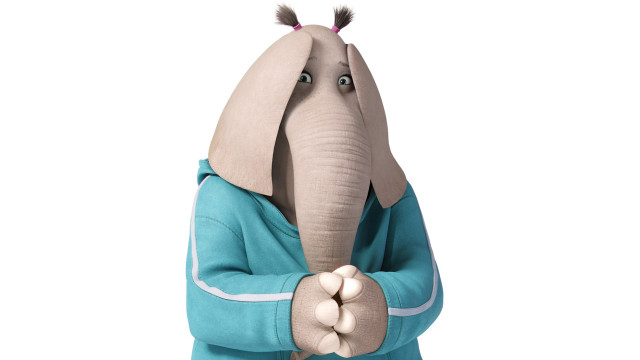 Person blue sweatshirt holding elephant free wallpaper for desktop - medium preview image