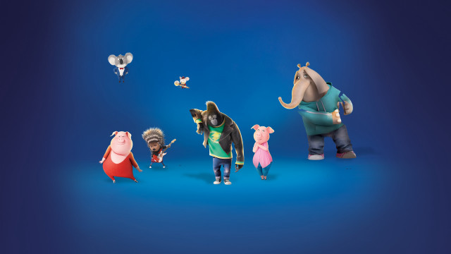 Animated animals group blue background free wallpaper for desktop - medium preview image