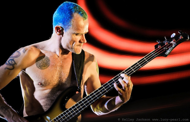 Blue haired man playing bass free wallpaper for desktop - medium preview image