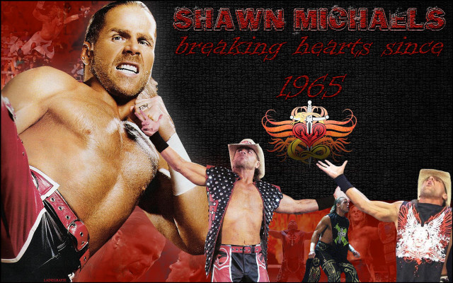 Man hat tie bald beard free wallpaper for desktop - medium preview image