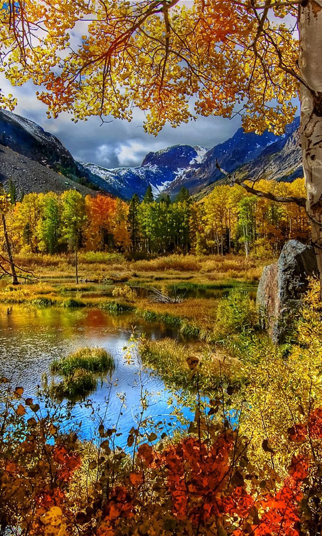 Lake trees mountains fall leaves free wallpaper for mobile - medium preview image