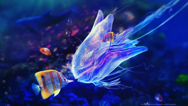 Fish jellyfish aquarium blue water #2 free wallpaper for desktop - medium preview image