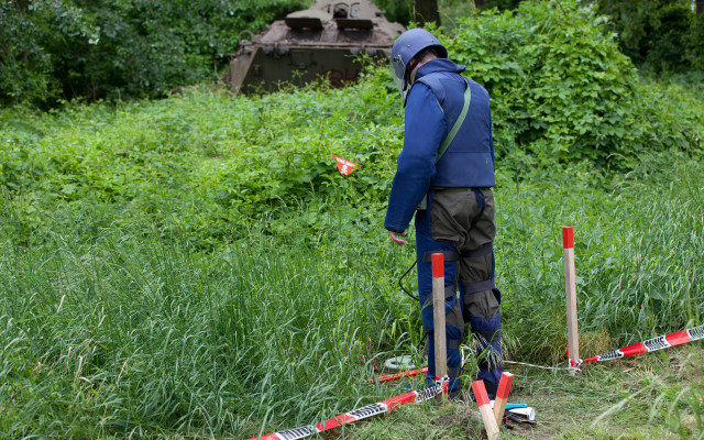 Man blue jacket forest hill free wallpaper for desktop - medium preview image