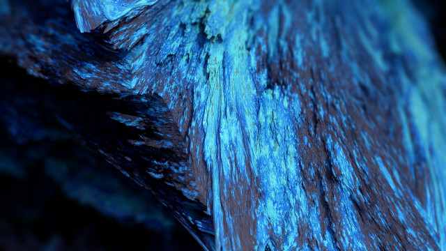 Blue black bird wing feathers free wallpaper for desktop - medium preview image