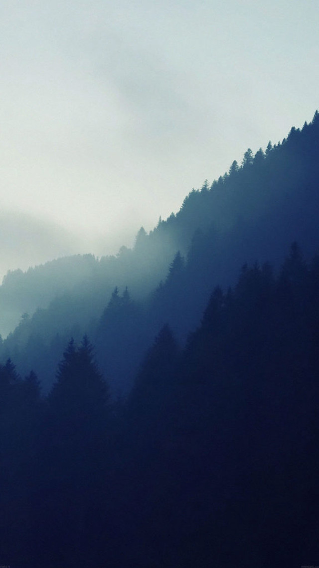 Plane flying mountain trees fog free wallpaper for mobile - medium preview image