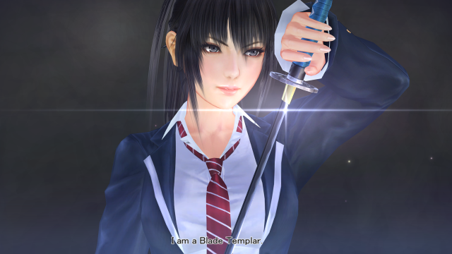 Woman suit sword wine glass free wallpaper for desktop - medium preview image