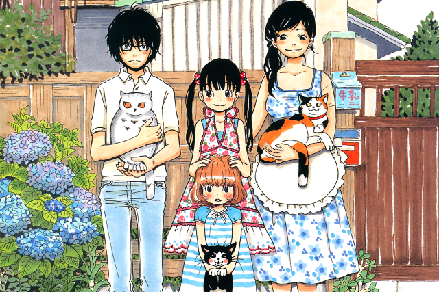 Family three house cat shoulders free wallpaper for desktop - medium preview image
