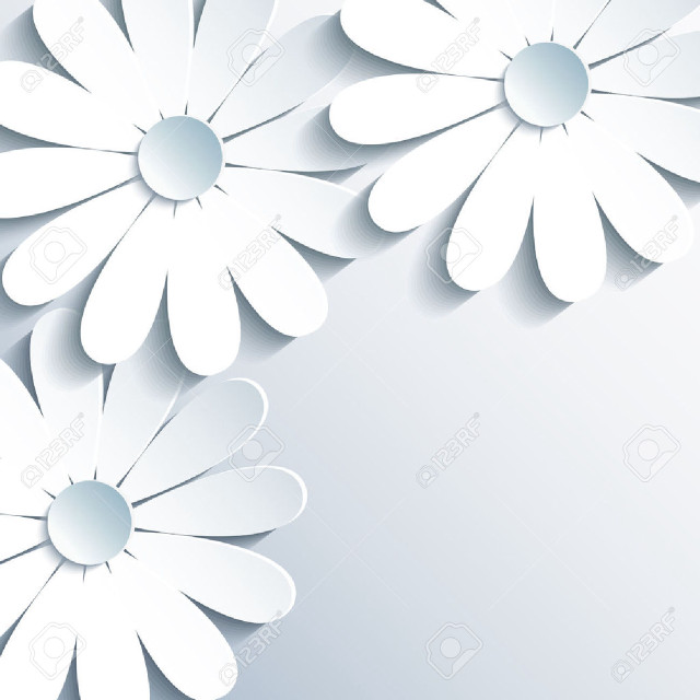White paper flower background minimalism free wallpaper for tablet - medium preview image