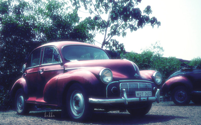 Red car bush tree grass free wallpaper for desktop - medium preview image