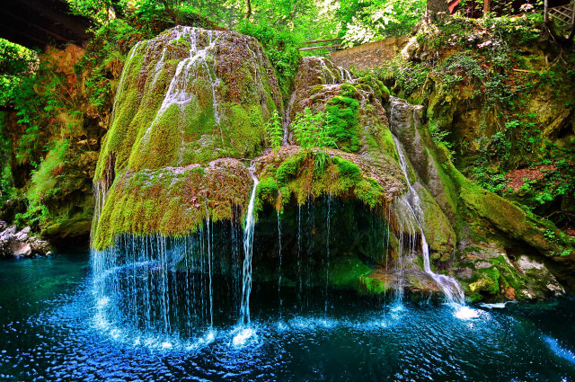 Waterfall forest moss rocks water free wallpaper for desktop - medium preview image