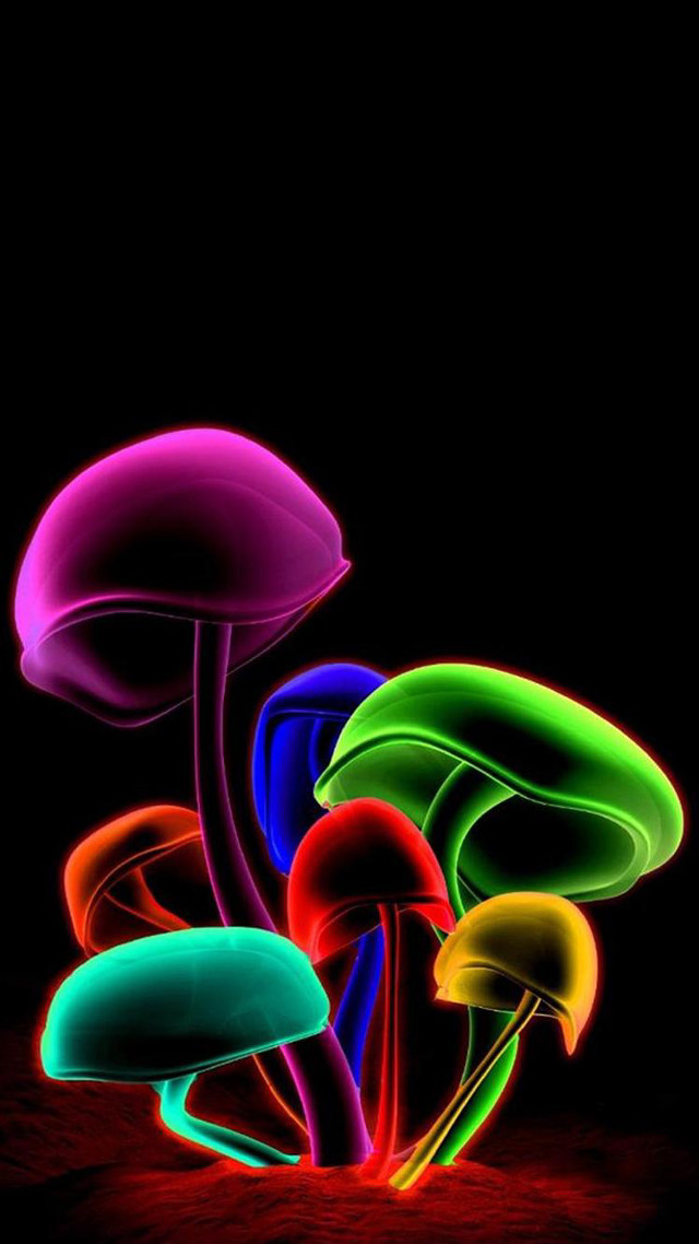 Mushrooms colorful night dark group free wallpaper for mobile - medium preview image