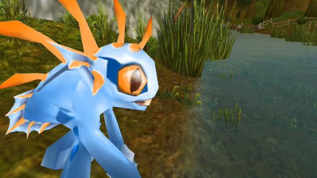 Blue orange dragon grass pond free wallpaper for desktop - medium preview image