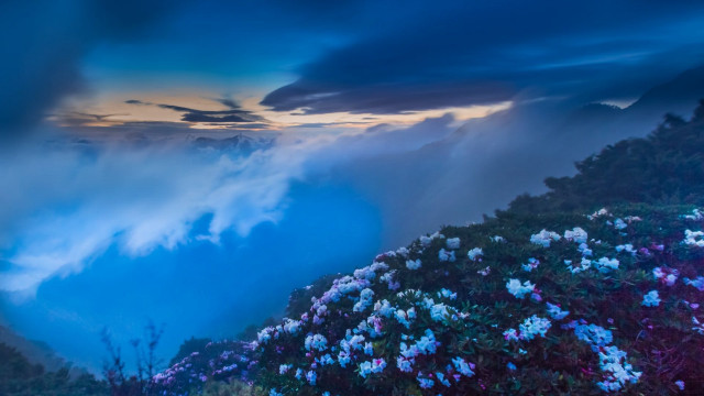 Mountain flowers cloudy sky clouds #2 free wallpaper for desktop - medium preview image