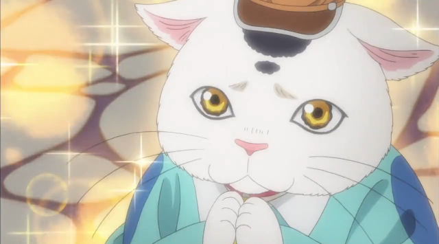 White cat hat blue shirt free wallpaper for desktop - medium preview image