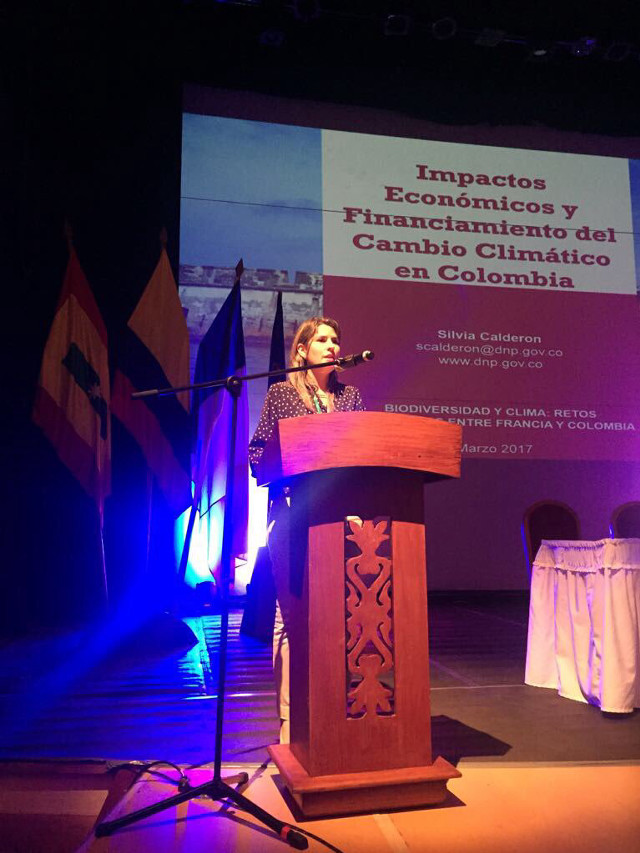 Woman standing podium microphone flags free wallpaper for mobile - medium preview image