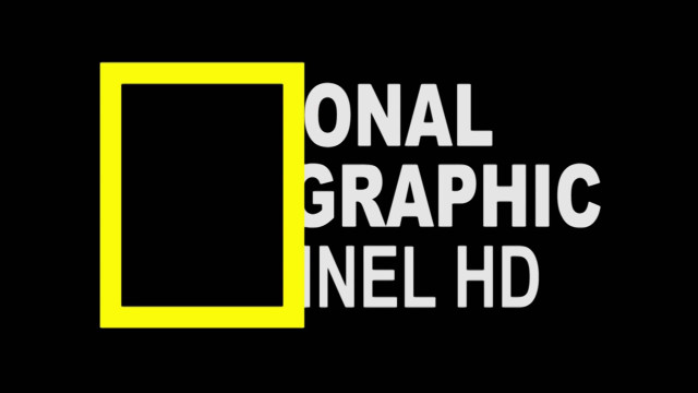 Black yellow logo national graphic free wallpaper for desktop - medium preview image