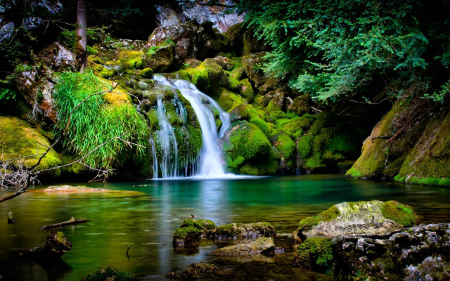 Waterfall forest green mossy rocks #2 free wallpaper for desktop - medium preview image