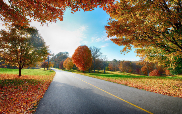 Autumn road yellow line orange free wallpaper for desktop - medium preview image