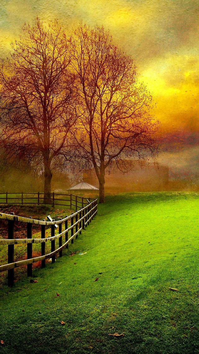 Fence trees field sunset foggy #2 free wallpaper for mobile - medium preview image