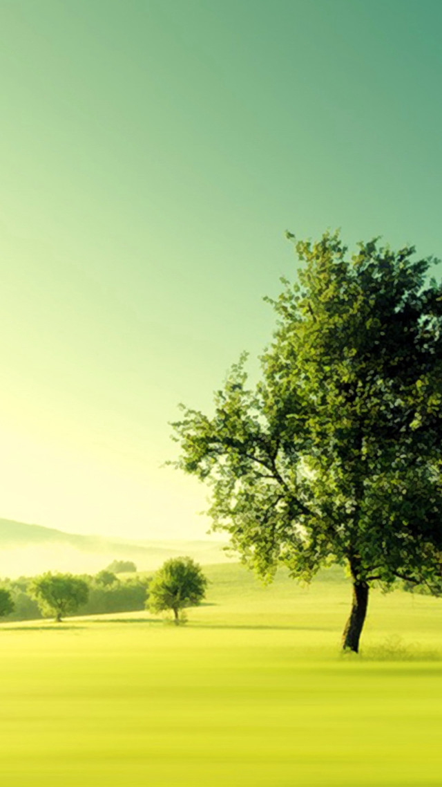 Tree green field blue sky free wallpaper for mobile - medium preview image