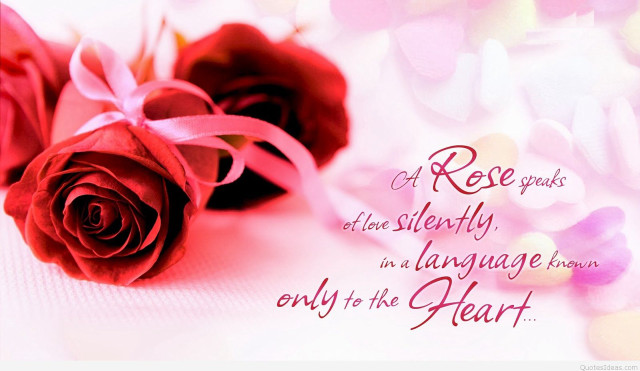 Two roses pink ribbon message free wallpaper for desktop - medium preview image
