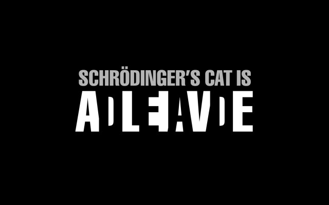 Schroddingers cat is alive black free wallpaper for desktop - medium preview image