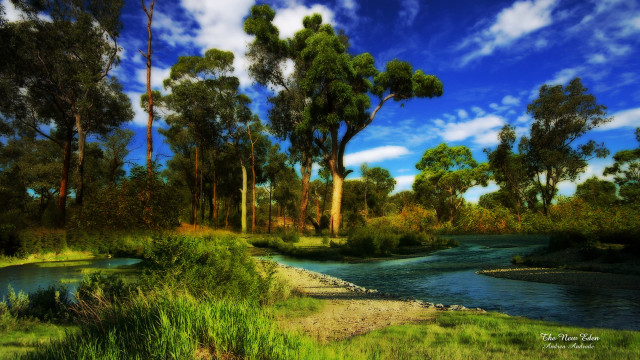River lush forest trees grass #5 free wallpaper for desktop - medium preview image