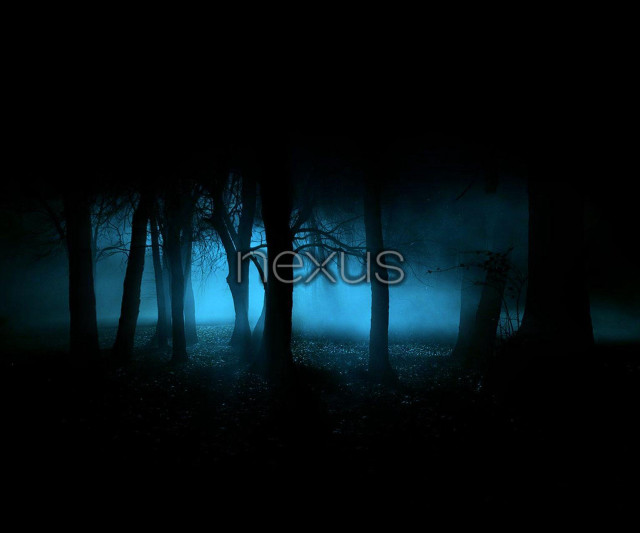 Dark forest light exxis neoism free wallpaper for desktop - medium preview image