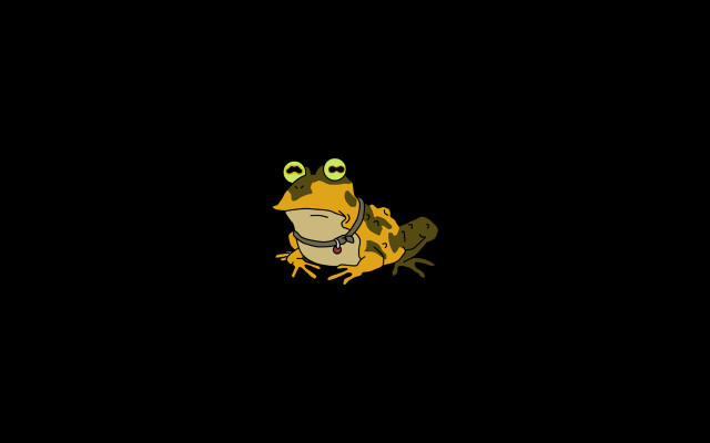 Frog big eyes black background free wallpaper for desktop - medium preview image