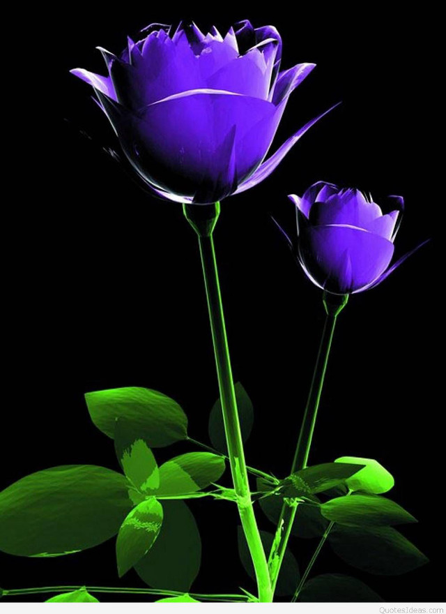 Purple flowers green leaves gothic free wallpaper for mobile - medium preview image