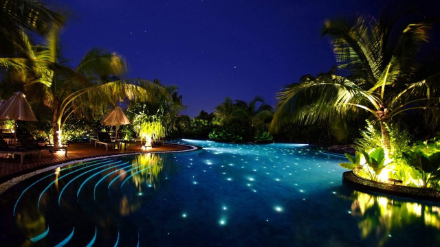 Pool starlight night palm trees free wallpaper for desktop - medium preview image