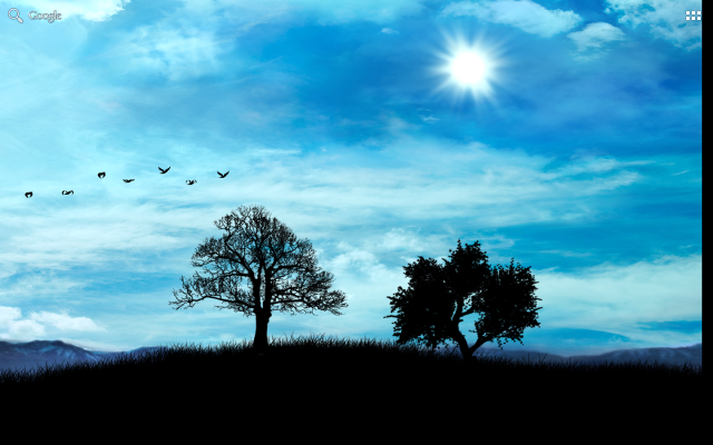 Tree bird flying sky sun free wallpaper for desktop - medium preview image