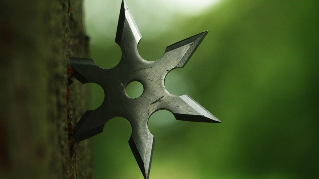 Metal star object tree trunk free wallpaper for desktop - medium preview image