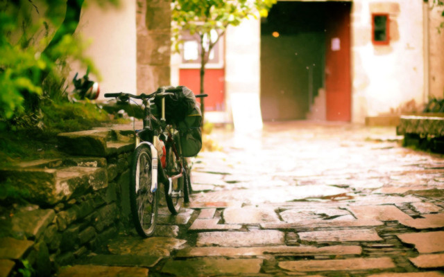 Bicycle stonepath reddoor tree tiltshift free wallpaper for desktop - medium preview image