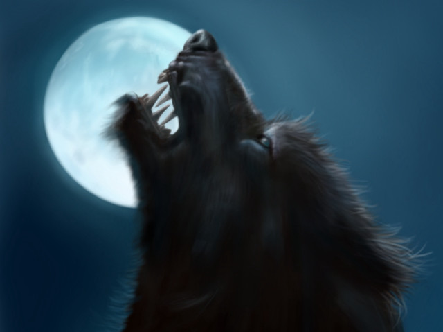 Wolf howling full moon mouth free wallpaper for desktop - medium preview image