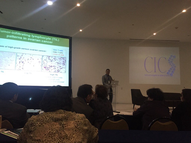 Man crowd presentation screen speaking free wallpaper for desktop - medium preview image