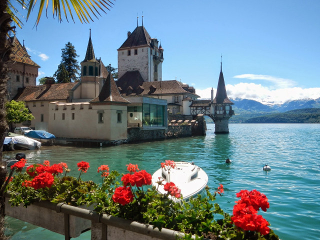 Boat bridge tower red flowers free wallpaper for desktop - medium preview image